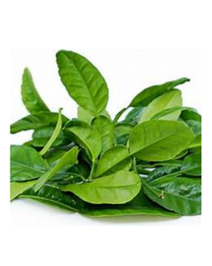 ใบมะนาวแห้งที่เก็บเกี่ยวอย่างยั่งยืนอุดมไปด้วยน้ำมันหอมระเหยเพื่อเพิ่มภูมิคุ้มกันฉลากชาสะอาดและสมุนไพรธรรมชาติ - Product Image 1