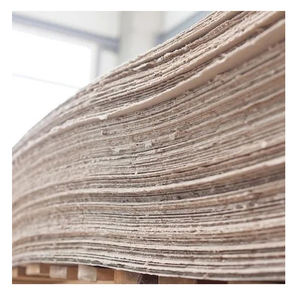 Pâte de bois vierge blanchie pour la fabrication de produits en papier hygiénique, serviettes en papier et essuie-tout - Product Image 4