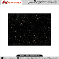 Carreaux de granit pour mur intérieur et extérieur Black Galaxy Granite disponibles à prix réduit
