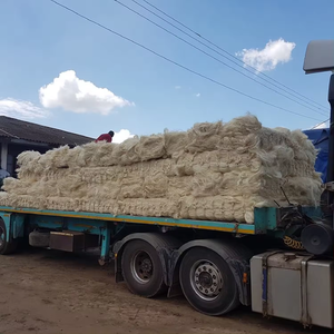Vente en gros de fibres de sisal de qualité SSUG cultivées sans produits chimiques ni additifs - Product Image 3