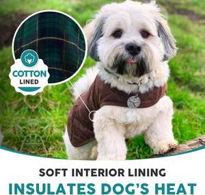 Ropa para Mascotas Hecha a Medida de Primera Calidad 100%, Sudaderas de Lujo para Perros con Forro Polar, Bordado Personalizado, Impresión de Logotipo, Diseño Sólido, Ropa de Invierno - Product Image 1
