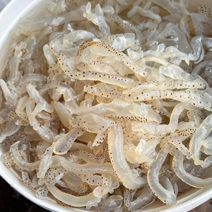 SUMINISTRO A GRANEL DE Medusas saladas Medusas sazonadas - Product Image 1