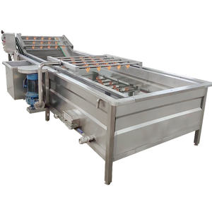 Machine à laver multifonctionnelle pour légumes racines pour les grossistes - Product Image 6