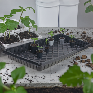 Bandeja de germinación multi-cápsula Martom TG71792 negra de 54x28x5cm con orificios de drenaje de plástico PS, domo de humedad y tapa rectangular. - Product Image 6