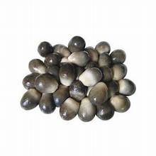 SETA SALADA DE CULTIVO SILVESTRE/BUENZA A BASE DE PLANTAS/SIN CONSERVADORES - Product Image 5