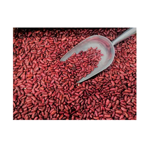 Découvrez les haricots rouges mouchetés à vendre, idéaux pour les soupes, les salades et la préparation de repas nutritifs. - Product Image 2