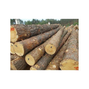 Distributeur en gros de bûches de pin séchées au four pour le bois de chauffage et le chauffage - Product Image 5