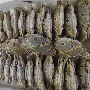 Bulk Frozen 3 Spot Crab Mejor Precio Venta al por mayor Exportación Mariscos Proveedor Fabricantes de confianza en todo el mundo - Product Image 6
