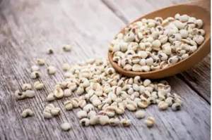 เมล็ดบัวรูปตัว phool makhana เกรดหนึ่งสำหรับผู้ค้าปลีกและบริษัทอาหารเพื่อสุขภาพ - Product Image 6