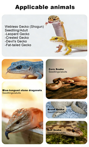 Fabrika Çıkışlı Sürüngen Teraryumu Alüminyum Çerçeveli 10qt'lik Küvetlerle Birlikte Yılanlar İçin İdeal Hızlı Gönderim Stokta Sürüngen Yetiştirme Rafı - Product Image 5