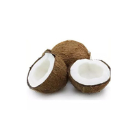 Noix de coco fraîche, Semi-croûte, prête à l'exportation, bon marché, noix de coco mature