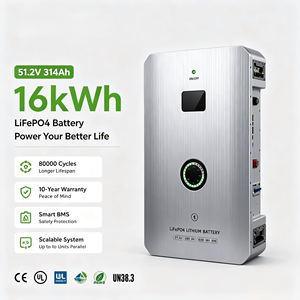 Batteria per Trolley 5kWh 10kWh 15kWh 16kWh 20kWh Sistema di Accumulo Energetico Domestico 48V 51.2V 200Ah 320Ah Pacco Batteria Solare LiFePO4 SUPSRSAFE - Product Image 1