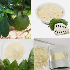 Poudre de fruit de corossol lyophilisée pure EXPAD 100% dans un emballage OEM - Product Image 5