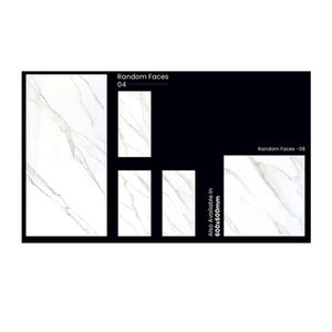 Azulejos de porcelana de calidad superior con estilo de Venta caliente disponibles a precio competitivo de la India - Product Image 6