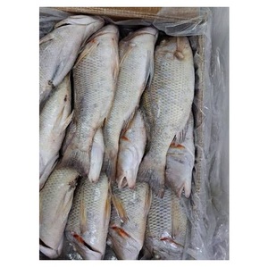 Pescado Emperador Entero Congelado, Proveedor Mayorista de Mariscos de Primera Calidad - Product Image 3
