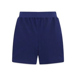 Shorts pour hommes Shorts de bain pour hommes Maillots de bain d'été Homme Maillot de bain Maillot de bain Sexy Shorts de plage Planche de surf Vêtements pour hommes Pantalons - Product Image 3