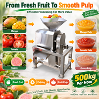 Machine de traitement commerciale à haute efficacité pour la pulpe de mangue, tomate et goyave