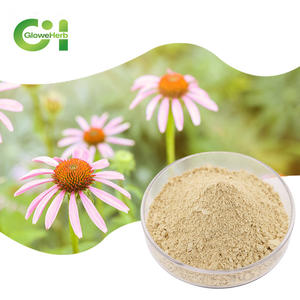 Sıcak satış <span class=keywords><strong>Echinacea</strong></span> <span class=keywords><strong>Purpurea</strong></span> çiçek özü 4% polifenoller tozu - Product Image 1