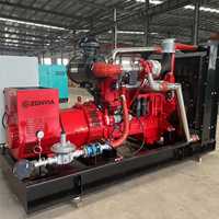 200kW 250kVA 95% Effizienz Biogas-Generator für Landwirtschaftliche Stromversorgung, Wasserkühlung, Fernstart-Steuerung, IP23-Schutz, Mehrfachspannung