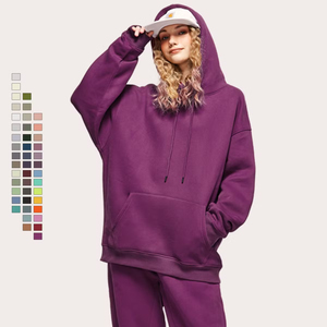 Vente en gros OEM ODM Sweat à capuche unisexe 280g 100% coton molletonné coupe classique hiver uni 45 couleurs - Product Image 1