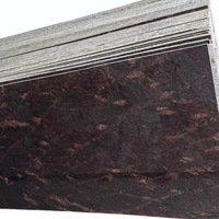 Pierre naturelle indienne Fantastico Granite couleur marron, surface polie, imperméable, finition moderne, comptoir pour construction de villa