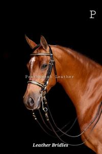 Brida de caballo de cuero Premium Estilos ingleses occidentales personalizados Brida de equitación de cuero genuino Proveedor al por mayor tendencia 2025 - Product Image 6