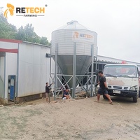 Système Complet d'Élevage Avicole en Cage Type H pour Poulettes, Reproduction et Pondeuses à Vendre
