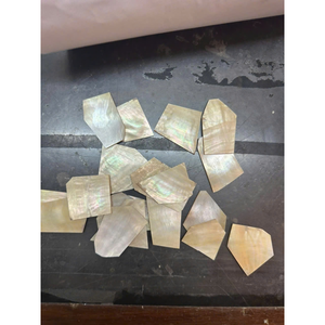 Pièce unique en nacre pour dalle de nacre, en vrac, blanc naturel/jaune/noir: 13x18mm, 15x20mm, 18x25mm, 20x30mm, 25x35mm. - Product Image 6