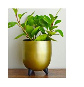 Contemporary Stylish Modern Versatile Floor Wall Decorative Piece <b>Glass</b> Tabletop <b>Vase</b> for Home or Office - Product Image 1