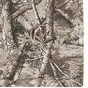 Camisetas de Hombre de Alta Calidad, Diseño Personalizado Moderno, Estilo Urbano, Talla Grande, Lisas, Resistentes, Ecológicas y Transpirables - Product Image 6