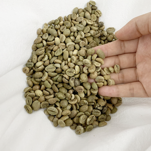 Café Robusta vert exclusif OEM, directement de la ferme au Vietnam, avec une saveur intense et un arôme profond, meilleur prix compétitif pour les entreprises (B2B) - Product Image 2