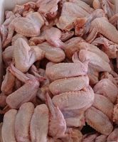 Ailes et pattes de poulet HALAL surgelées de qualité supérieure, 3 articulations, sans os ni peau, origine Pays-Bas, qualité 24 jours