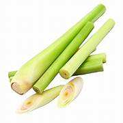 Citronnelle fraîche Forme entière d'épices aux herbes végétales polyvalentes et aromatiques fabriquée au Vietnam - Product Image 2