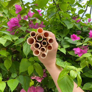 100% pailles à boire en bambou réutilisables naturelles écologiques durables biodégradables faites à la main au Vietnam Eco2go Vietnam pour les fêtes - Product Image 4