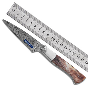 Cuchillo de caza personalizable hecho a mano, hoja de acero damasco de alta calidad, mango de hueso de camello teñido, Funda de cuero de vaca grabada con láser - Product Image 1