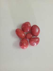 Guijarros multicolores / Guijarros que brillan en la oscuridad, exportación a granel desde India - Product Image 4