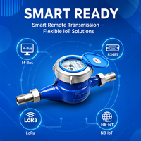 Digital Water Meter DN15 Brass Cast Iron Plastic Material Industrial Use IP68 Protection Threaded Connection 2.5m/h Flow OEM