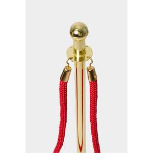Barriera Cerimoniale Dorata per Attrezzature di Servizio per Ristoranti e Hotel - Product Image 2