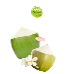 Techniques de traitement des produits agricoles exportés à la noix de coco pelée au diamant - Product Image 4