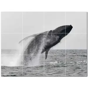 ภาพจิตรกรรมฝาผนังกระเบื้องเซรามิกวาฬ PT501188 48 "W x 36" H ชุด12X12กระเบื้อง - Product Image 1