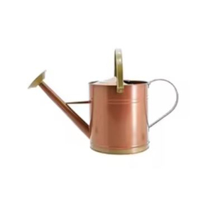 กระป๋องน้ําดีไซน์ไม่ซ้ําใคร รูปร่างและขนาดที่กําหนดเอง กระป๋องรดน้ําเหล็กเคลือบผงสีขาวสําหรับใช้ในสวนในราคาสมเหตุสมผล - Product Image 6