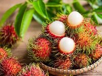 Menawarkan produk buah tropis RAMBUTAN segar dari Vietnam DENGAN HARGA TERBAIK 100% kualitas tinggi siap ekspor
