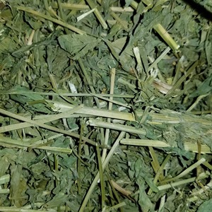 Suministro de alimentación animal, heno de alfalfa disponible a granel, heno de alfalfa seco de alta calidad exportado en embalaje comprimido - Product Image 1