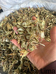 Fleur d'artichaut séchée de qualité supérieure pour tisane-100% naturelle, séchée au soleil, propre et aromatique/Mme Lima - Product Image 2