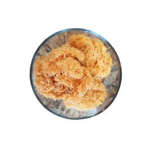 Seamoss seco sazonado premium-Marca VDELTA 25kg-50kg Bolsa de PP Calidad de exportación de alto estándar - Product Image 6