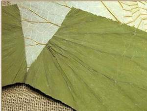 Herbe culinaire polyvalente en poudre de feuilles de lotus séchées vietnamiennes de haute qualité pour la cuisson du thé directement de source agricole - Product Image 2