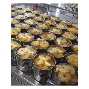 Piña enlatada de alta calidad 100% piña fresca natural/oferta caliente 2025 piña enlatada de Vietnam - Product Image 2