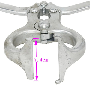 Equipo veterinario reutilizable, alicates de castración sin sangre Ram de acero inoxidable para animales machos, alicates de castración de ganado - Product Image 2