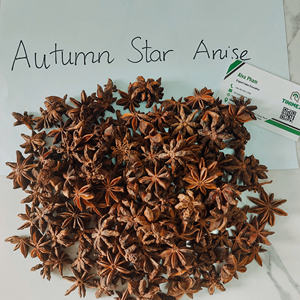 ELITE NATUREL D'ANIS ÉTOILE D'AUTOMNE SÉCHÉ/ZVEZDNI ANIS/STERANYS avec PRIX COMPÉTITIFS DE QUALITÉ SUPÉRIEURE (WA + 84362512699) - Product Image 3