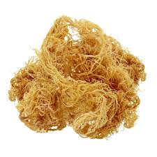 Mousse de mer séchée en sac VDELTA Produit haut de gamme assaisonné aux algues pour l'exportation - Product Image 2